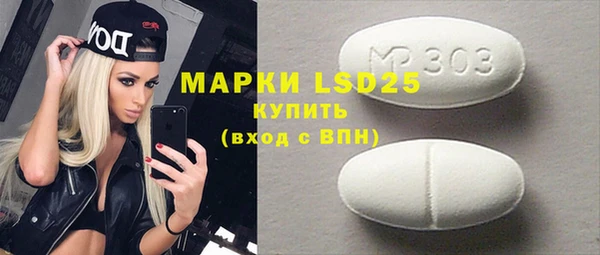 прущие грибы Гатчина
