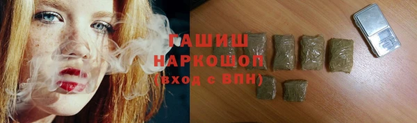 прущие грибы Гатчина