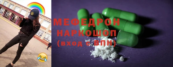 прущие грибы Гатчина