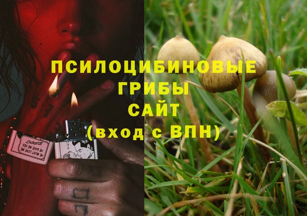 героин Михайлов