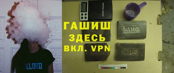 гидра Галич