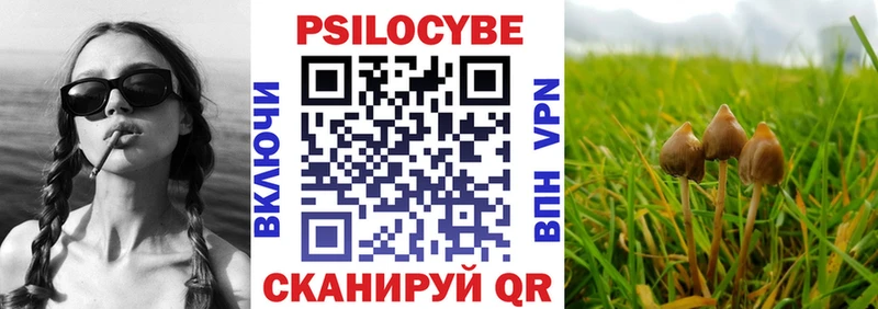 Галлюциногенные грибы мицелий кракен онион Кирсанов мориарти Telegram дарнет шоп